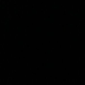 Meet your Posher, Bailey